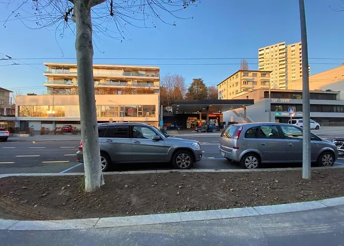 Apartment Your Bright And Spacious By The *